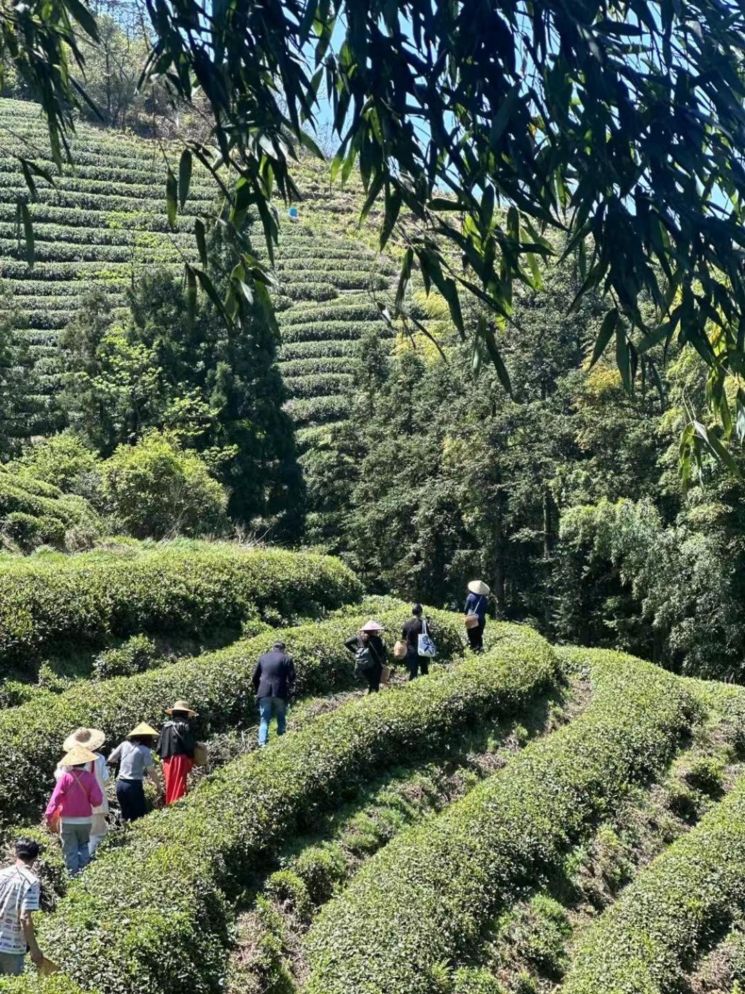 Ahn Lan Ninghai Luaran gambar